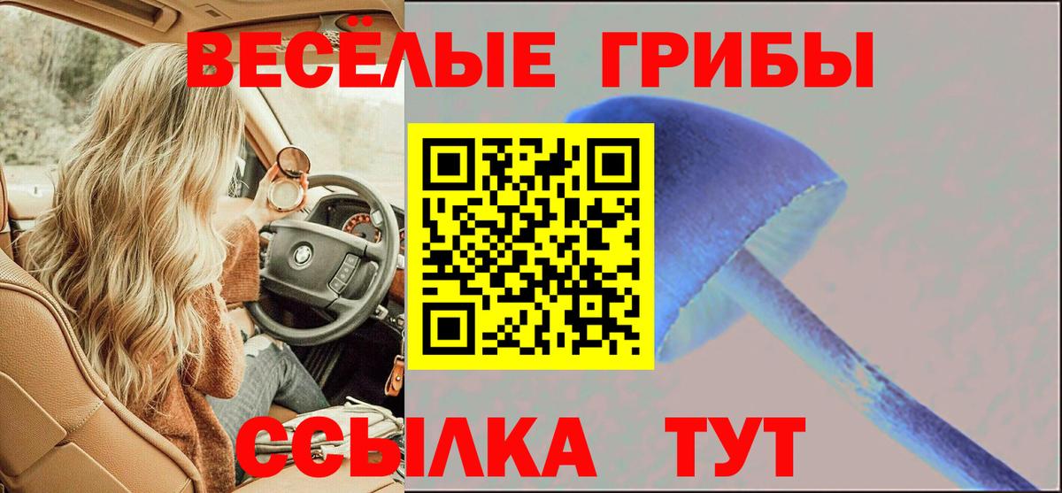 Галлюциногенные грибы MAGIC MUSHROOMS Благовещенск