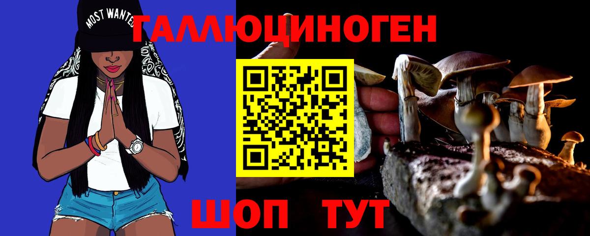 Псилоцибиновые грибы MAGIC MUSHROOMS  Псилоцибиновые грибы GOLDEN TEACHER  Вход с VPN  цены   Благовещенск 